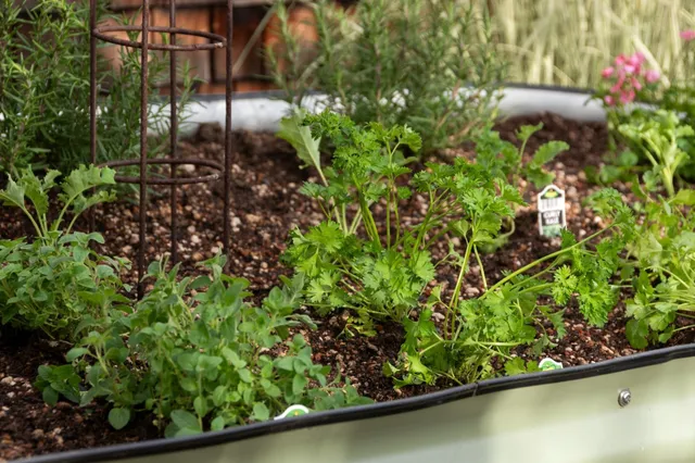 $899,000 | 4655 Park Boulevard, Oakland, CA 94602