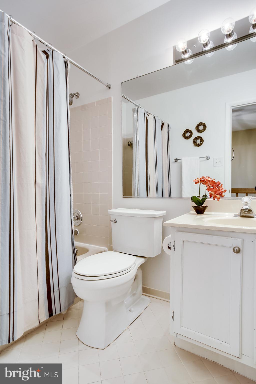 1630 Oak Spring Way Reston, VA 20190 - Photo 50 of 74 Hall bath