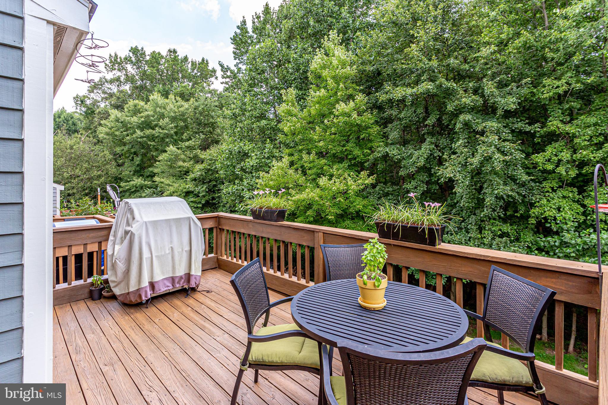 1630 Oak Spring Way Reston, VA 20190 - Photo 64 of 74 Lovely spacious eck