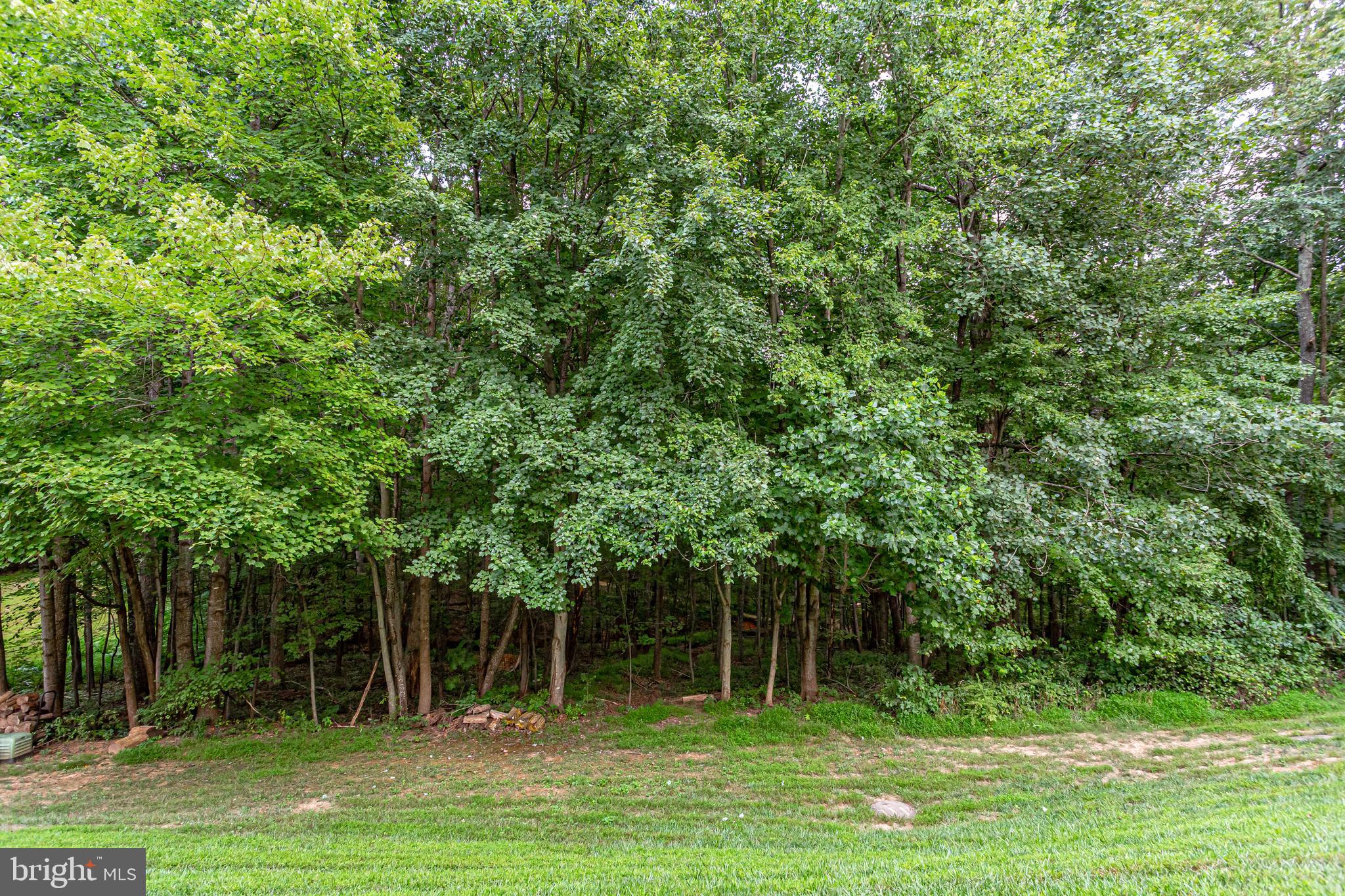 1630 Oak Spring Way Reston, VA 20190 - Photo 73 of 74 Wooded views are beautiful!