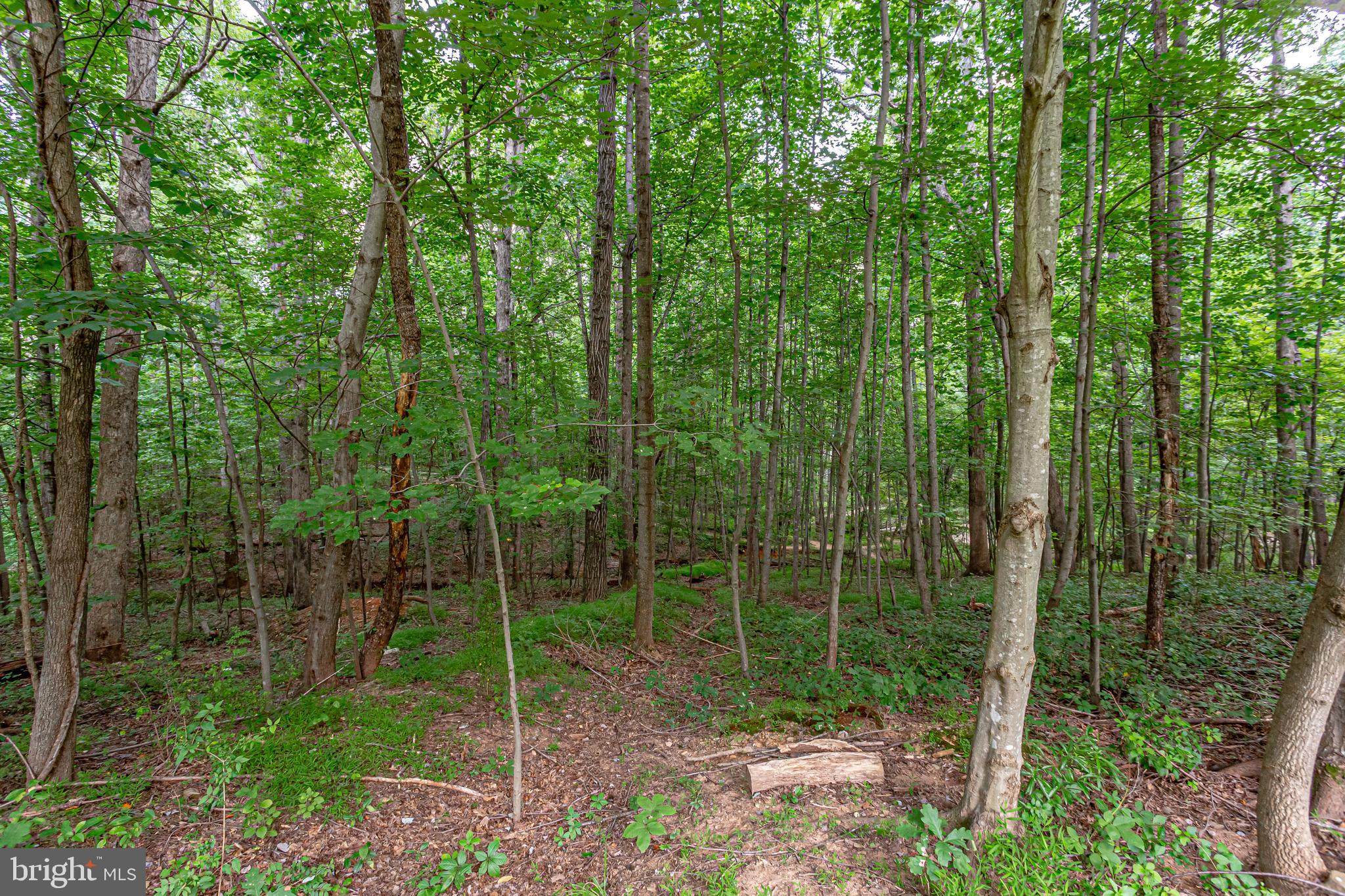 1630 Oak Spring Way Reston, VA 20190 - Photo 74 of 74 Gallery Image 74