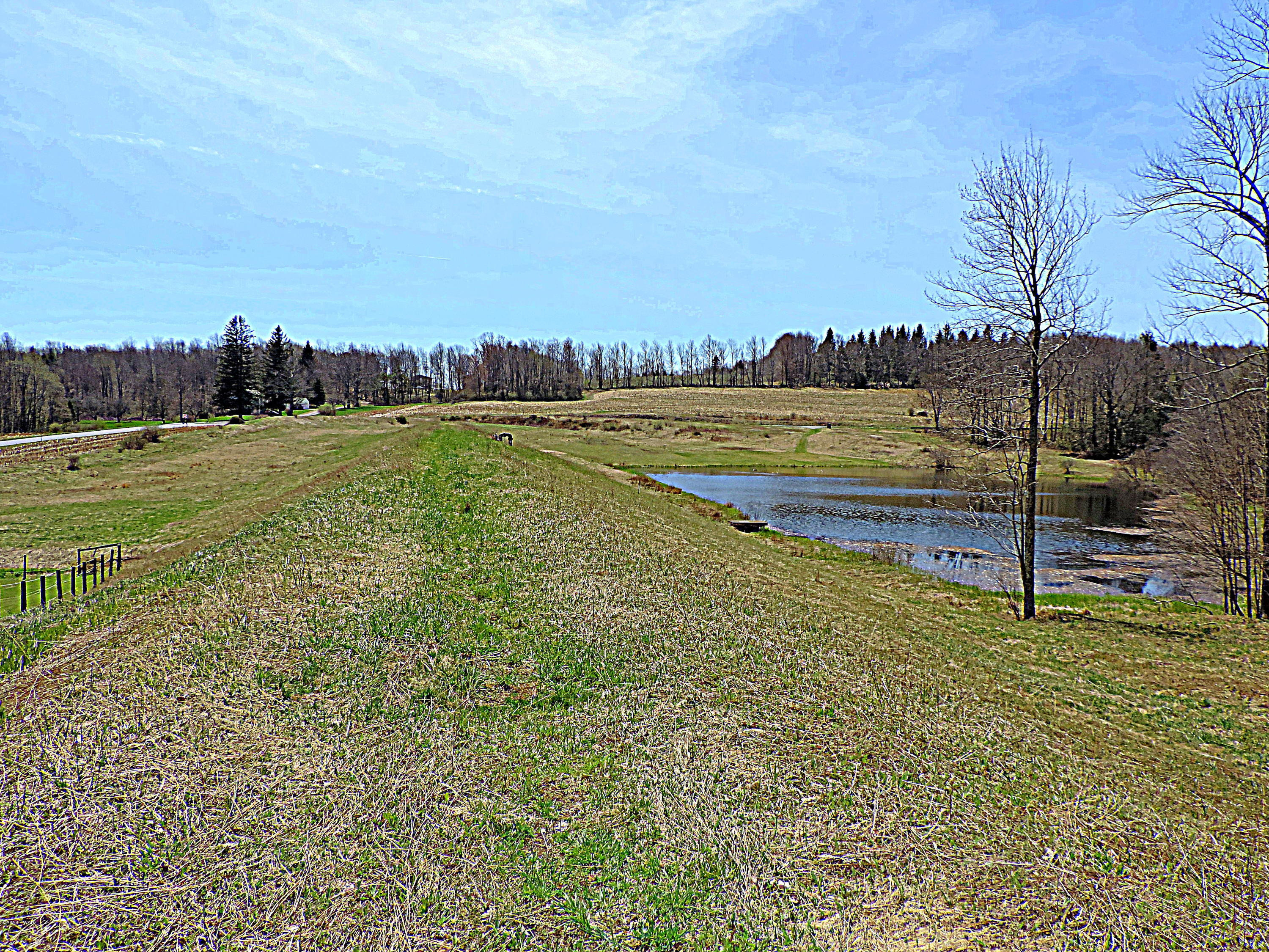 441 Huckleberry Road Newfoundland, PA 18445 - Photo 48 of 58