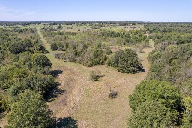 a view of a dry yard with wooden fence and mountain
