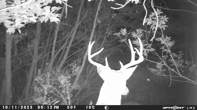 view of a lake from a balcony