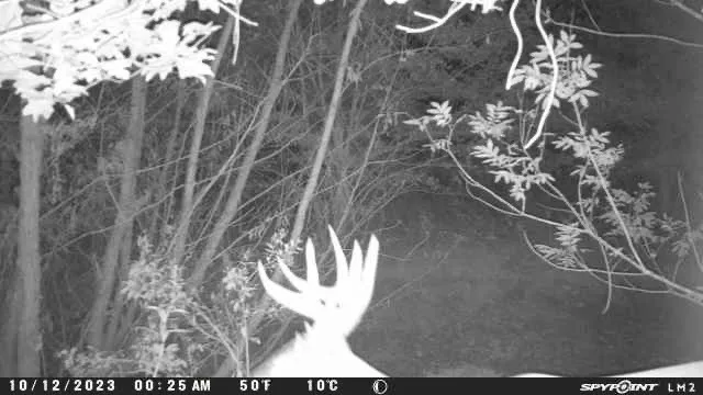 a view of a yard and outdoor seating