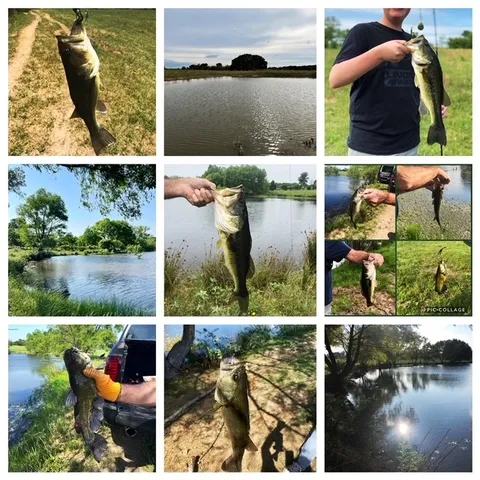 a view of a lake with a house in the background