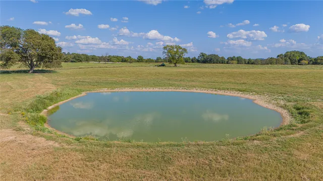 a view of a lake with a building in the background