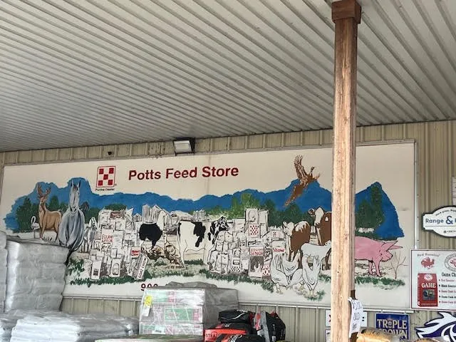 $4,728,000 | 3300 Vz County Road 1903, Edgewood, TX 75117