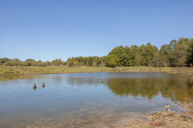 a view of a lake with a mountain in the background