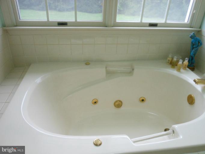 3603 Jackson Cabin Road Phoenix, MD 21131 - Photo 17 of 30 a bathroom with a tub