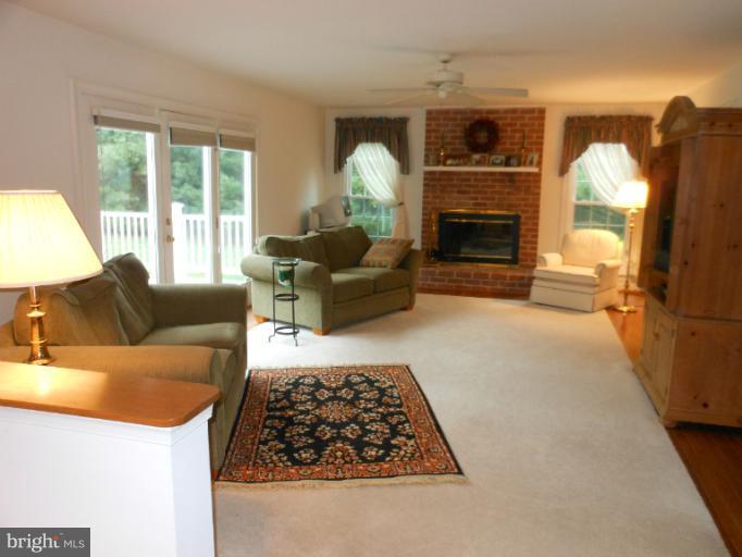 3603 Jackson Cabin Road Phoenix, MD 21131 - Photo 29 of 30 a living room with furniture and a fireplace
