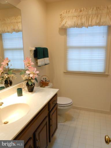 3603 Jackson Cabin Road Phoenix, MD 21131 - Photo 6 of 30 a bathroom with a sink a toilet and mirror