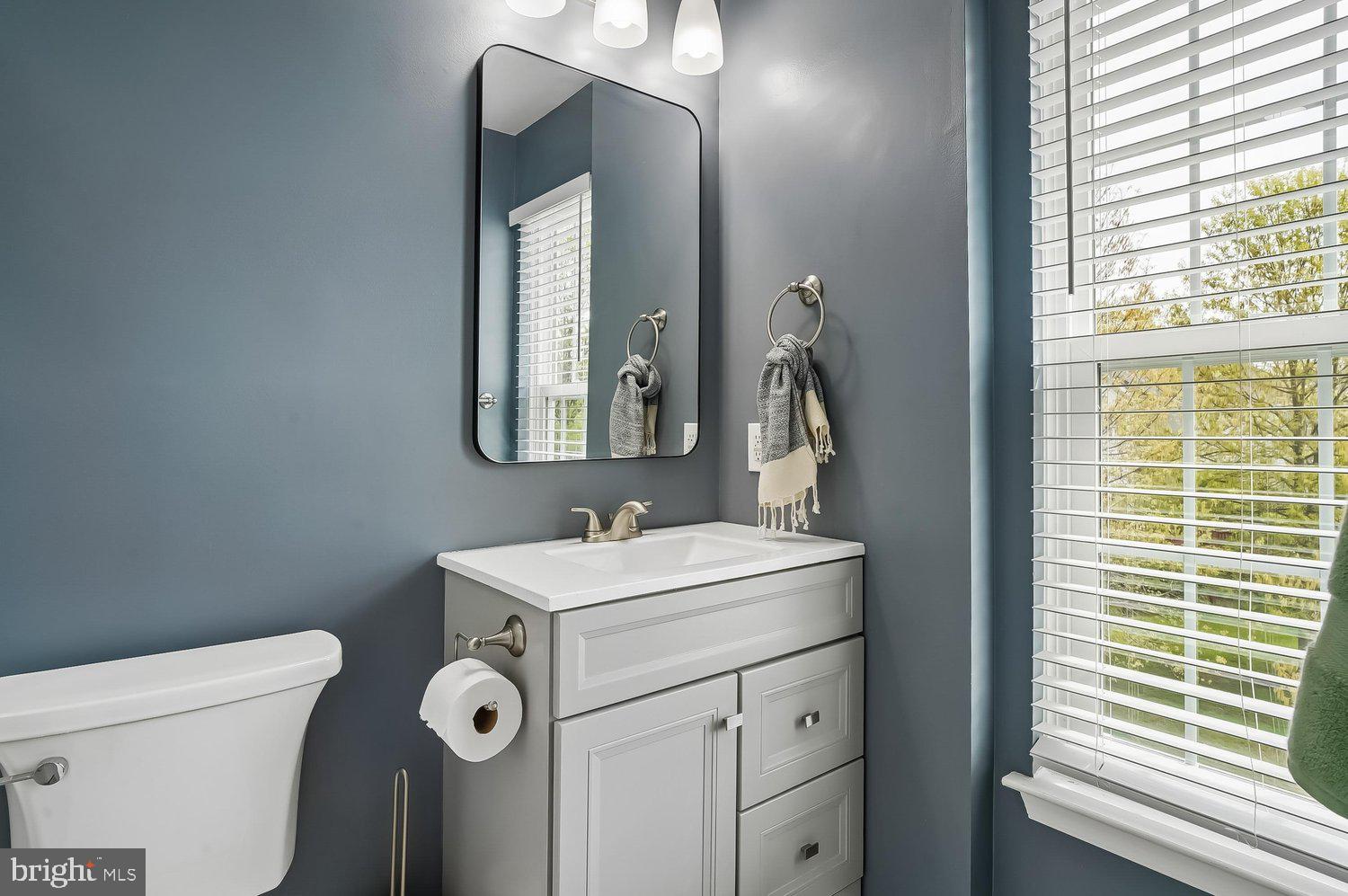 3757 Glebe Meadow Way Edgewater, MD 21037 - Photo 33 of 61 Chic bathroom with modern accents and light.