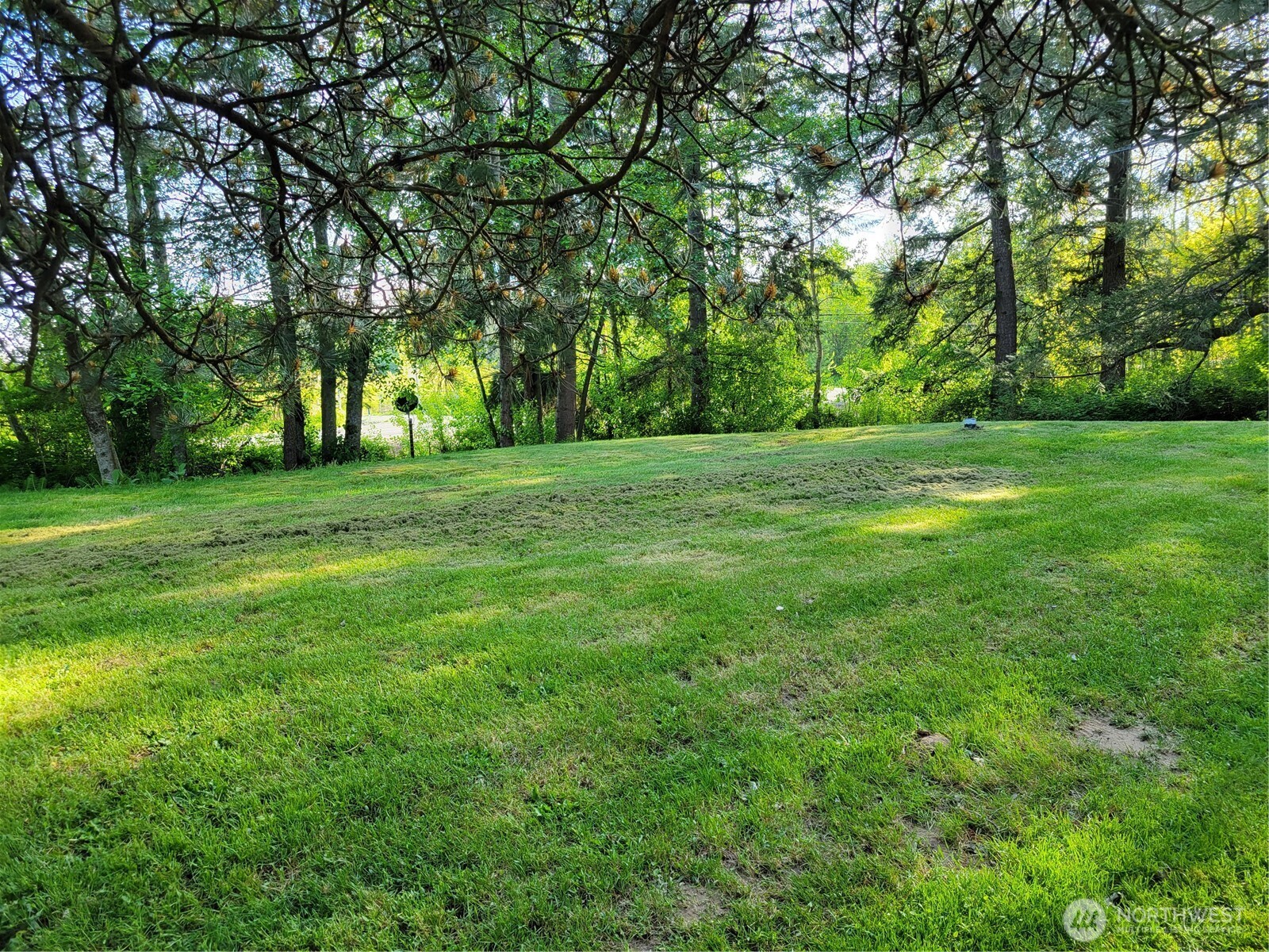 3824 Birch Bay Lynden Road Custer, WA 98240 - Photo 24 of 31 a grassy field with trees in the background