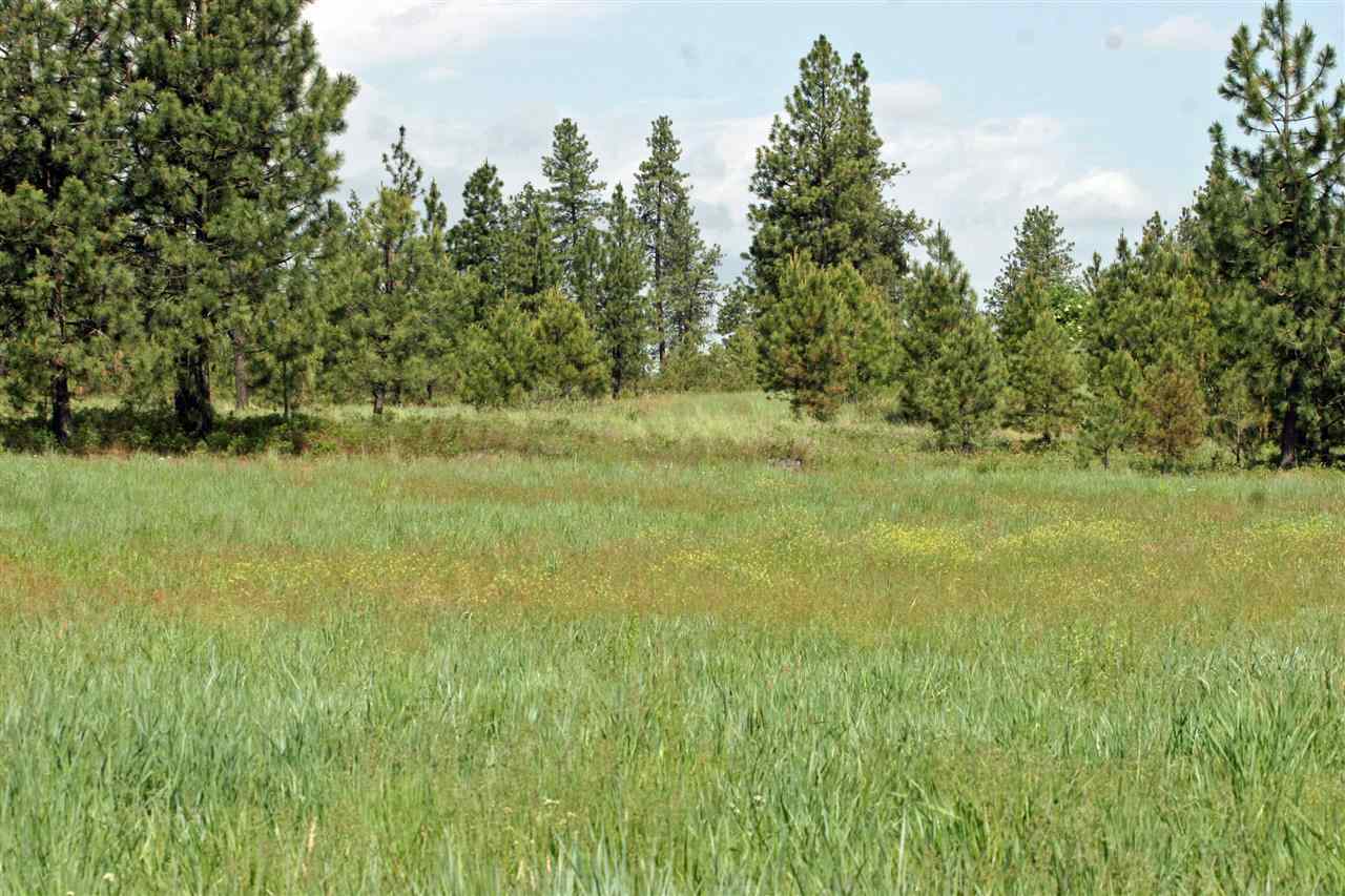 South Austin Road Spokane, WA 99224 - Photo 1 of 12