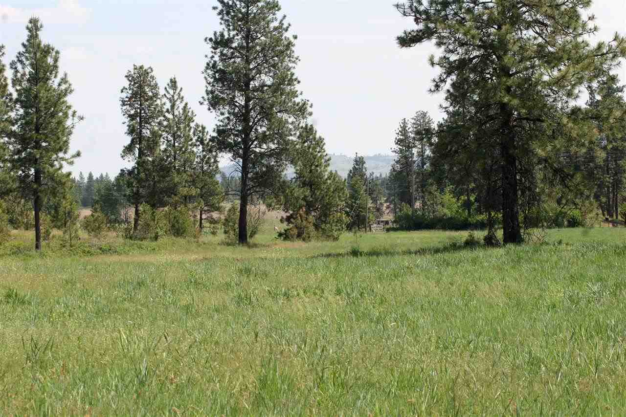 South Austin Road Spokane, WA 99224 - Photo 2 of 12