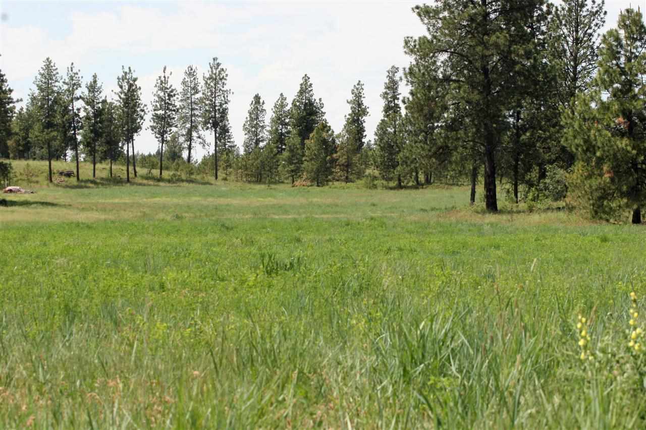 South Austin Road Spokane, WA 99224 - Photo 11 of 12