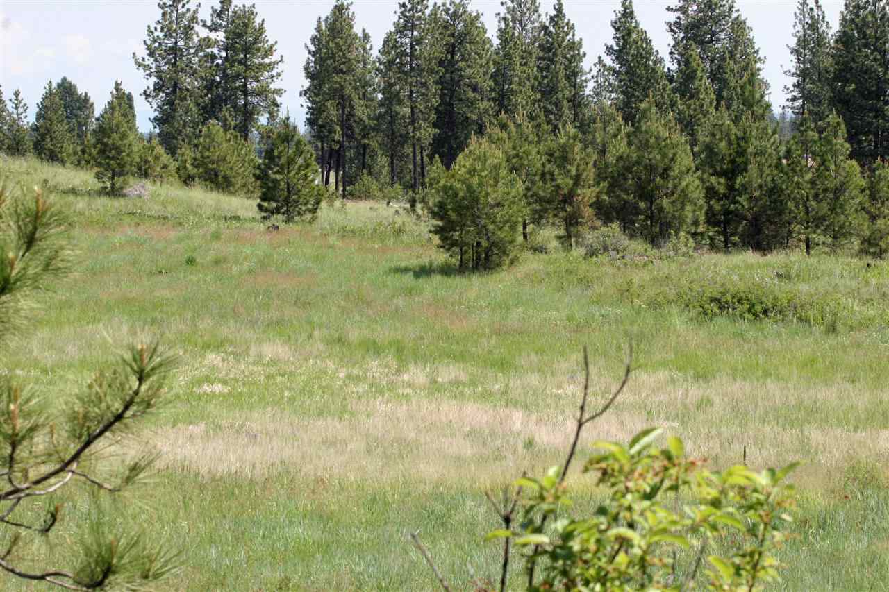 South Austin Road Spokane, WA 99224 - Photo 3 of 12