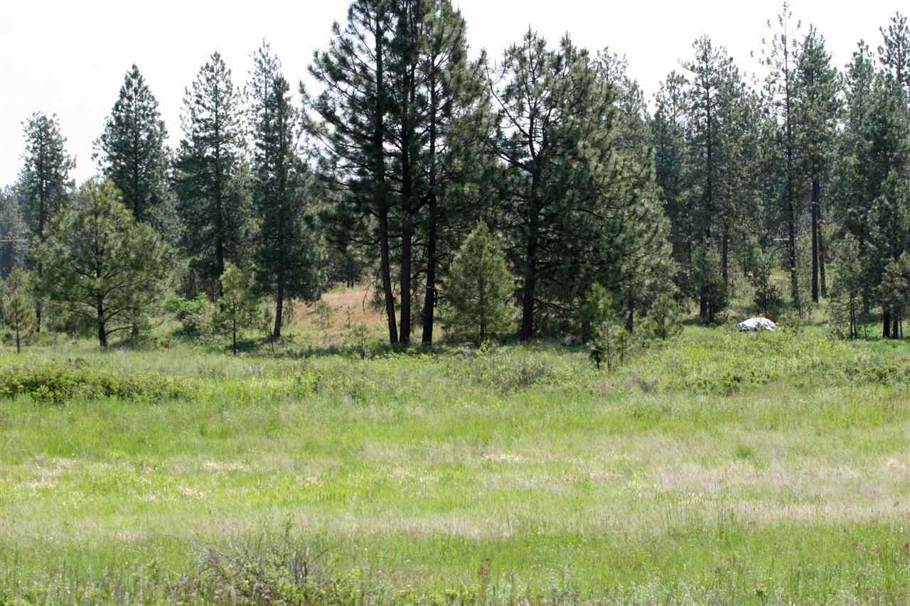 South Austin Road Spokane, WA 99224 - Photo 4 of 12