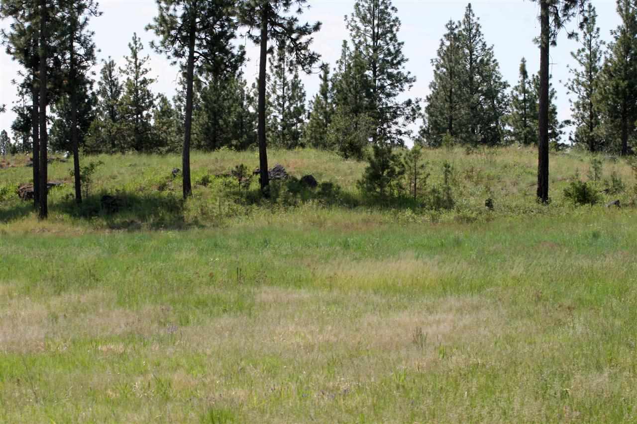 South Austin Road Spokane, WA 99224 - Photo 6 of 12