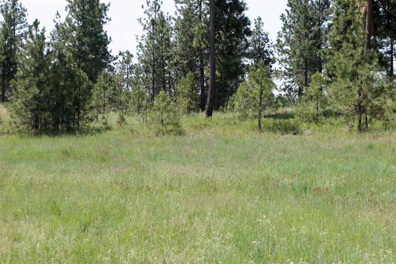 South Austin Road Spokane, WA 99224 - Photo 7 of 12