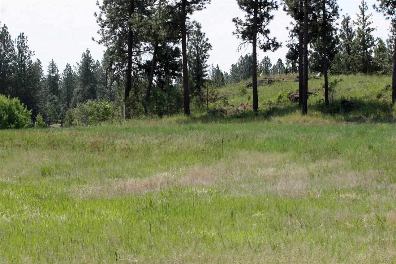 South Austin Road Spokane, WA 99224 - Photo 8 of 12