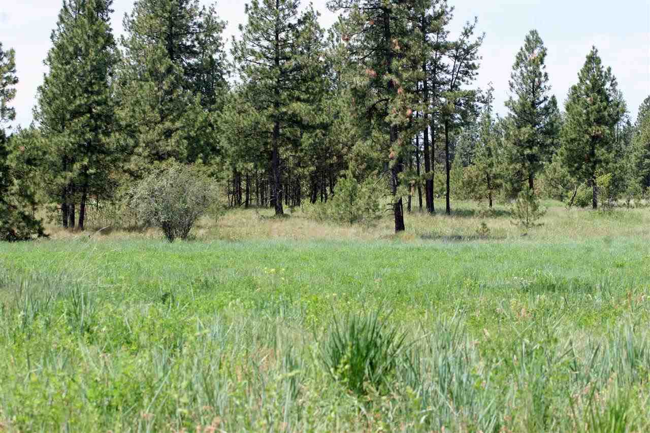South Austin Road Spokane, WA 99224 - Photo 10 of 12