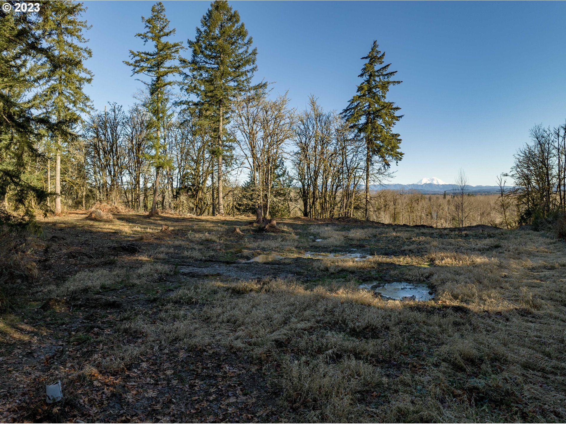 Eadon Road Toledo, WA 98591 - Photo 11 of 23