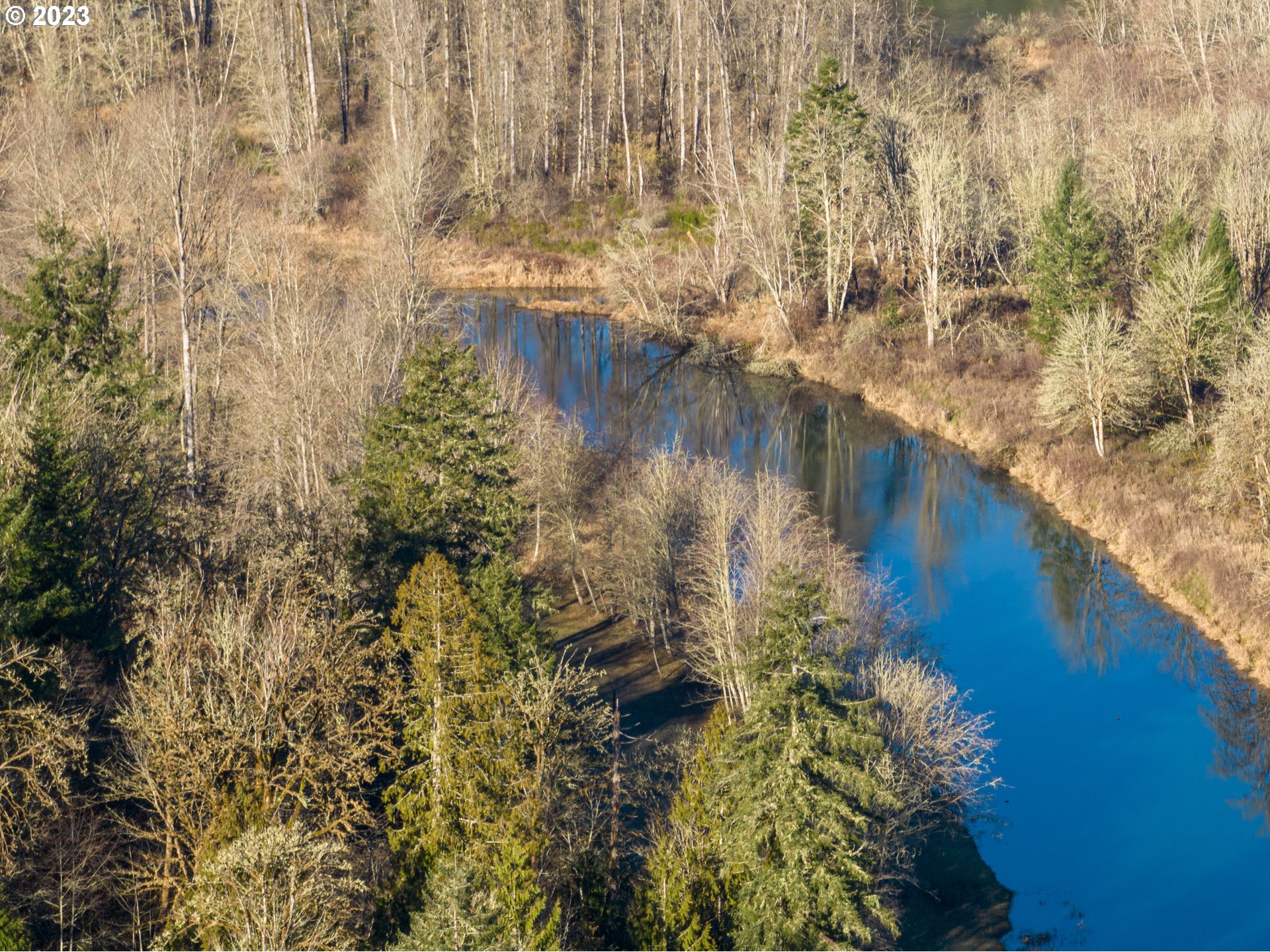 Eadon Road Toledo, WA 98591 - Photo 12 of 23