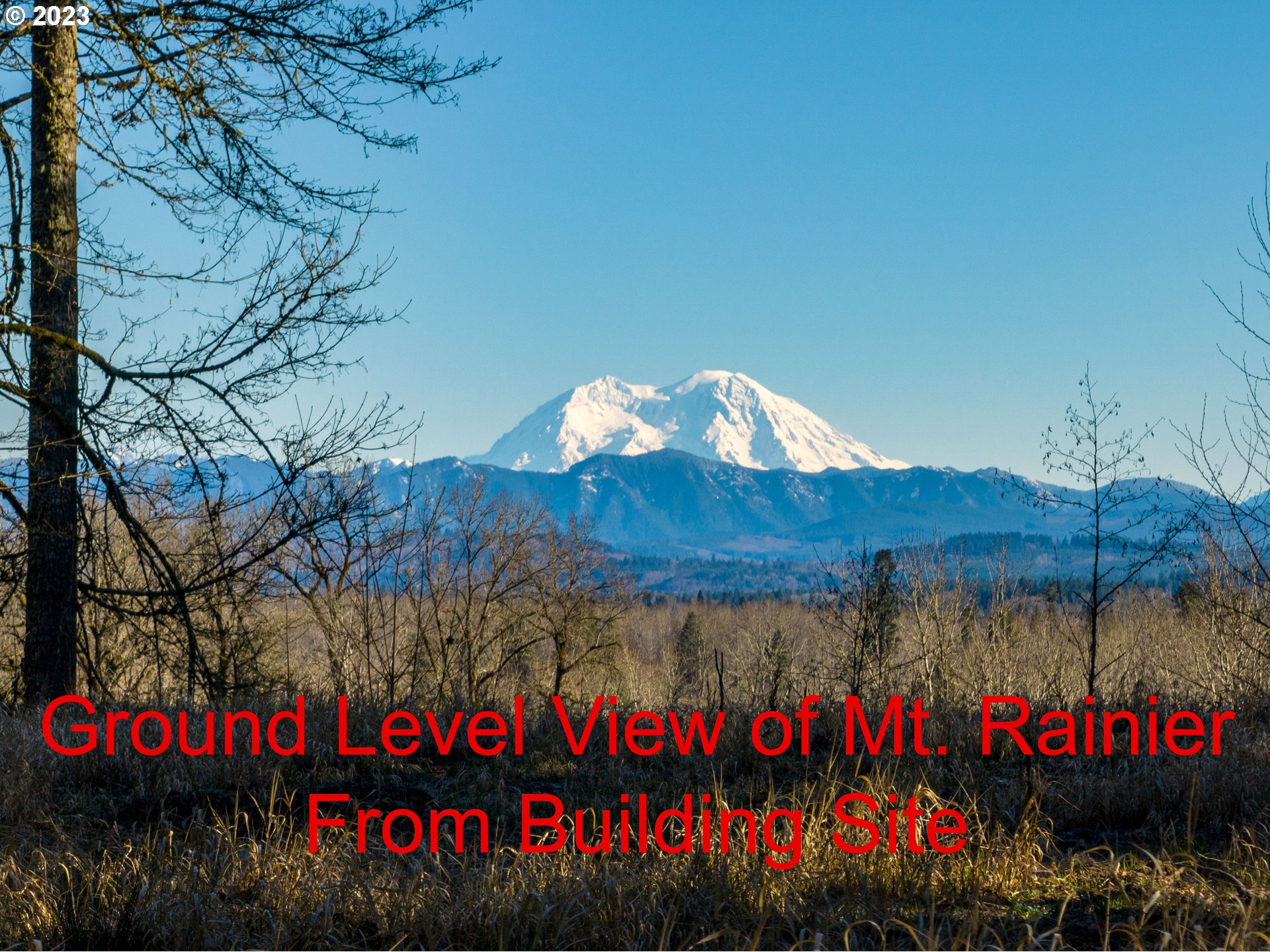 Eadon Road Toledo, WA 98591 - Photo 13 of 23