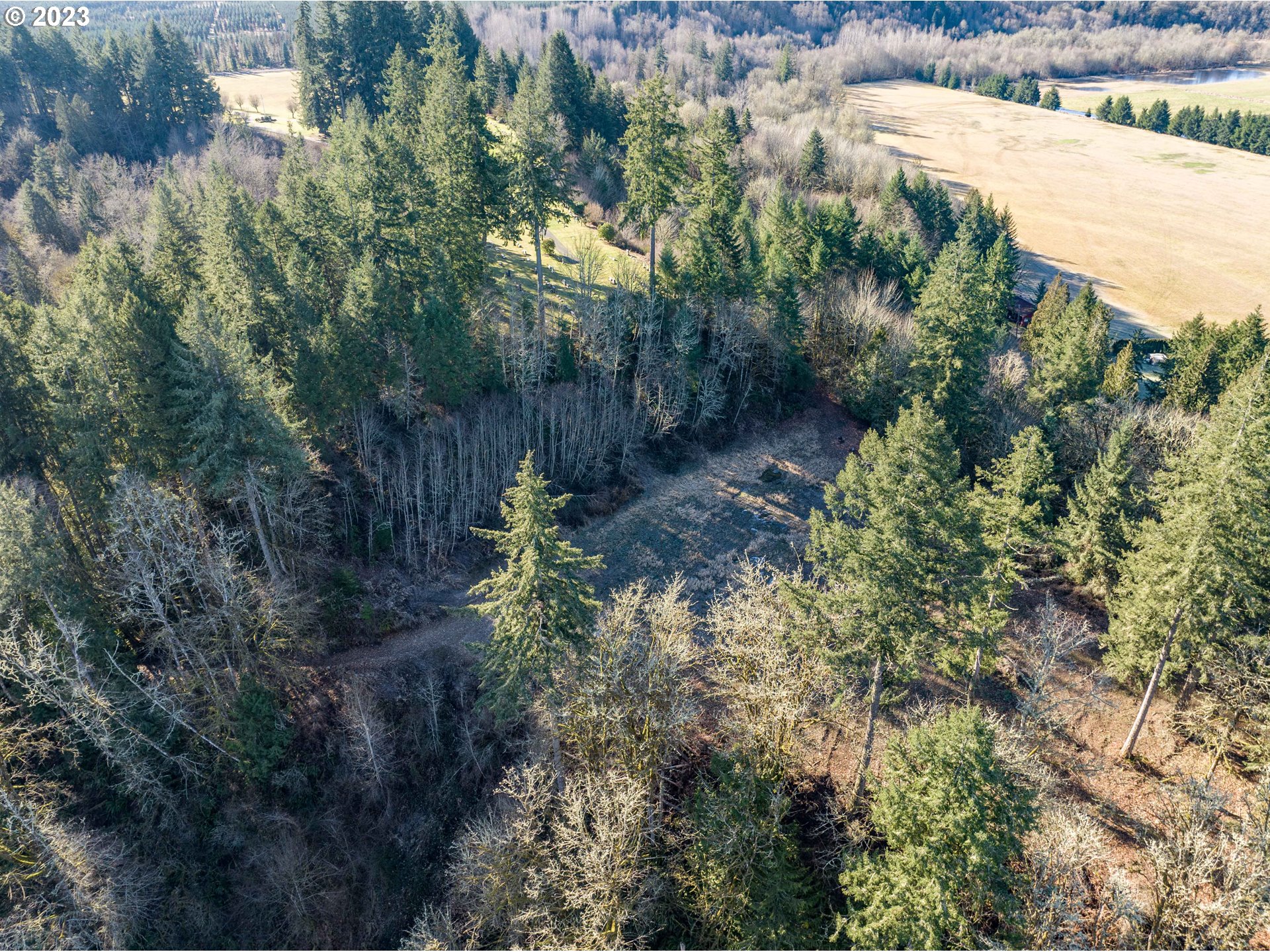 Eadon Road Toledo, WA 98591 - Photo 19 of 23