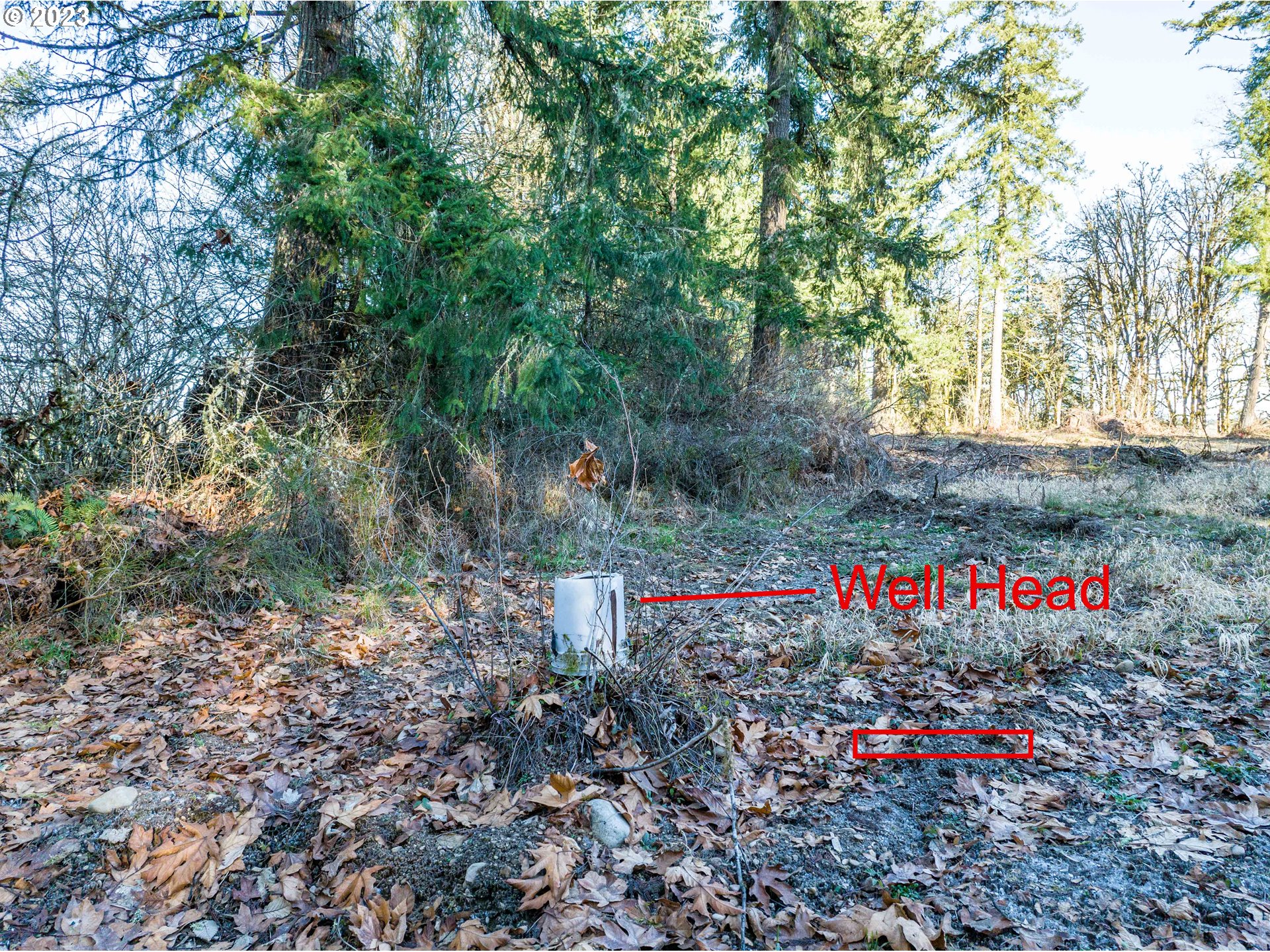 Eadon Road Toledo, WA 98591 - Photo 7 of 23