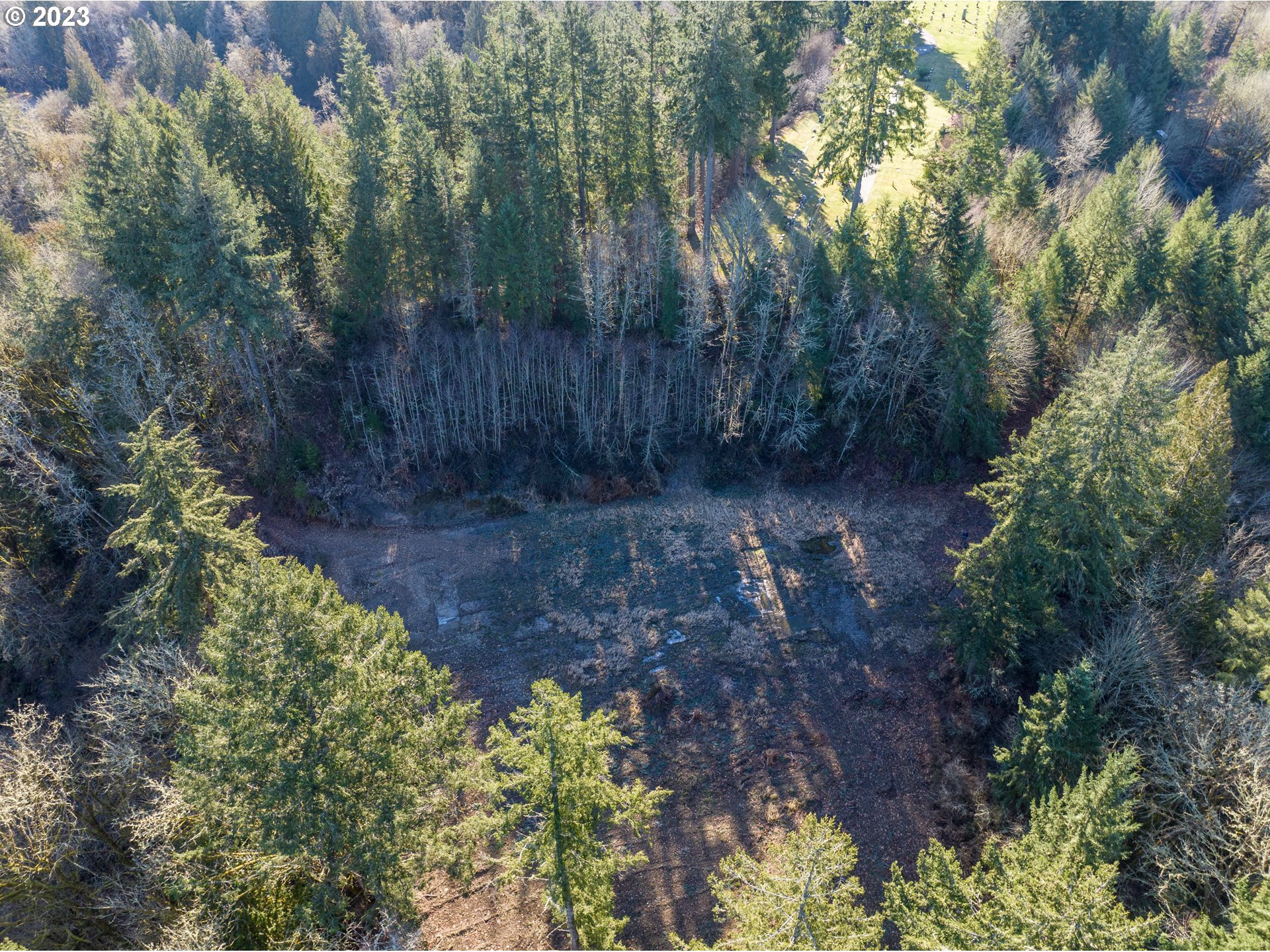 Eadon Road Toledo, WA 98591 - Photo 10 of 23