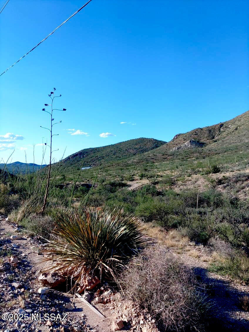 16231 East Hillton Ranch Road Vail, AZ 85641 - Photo 18 of 24