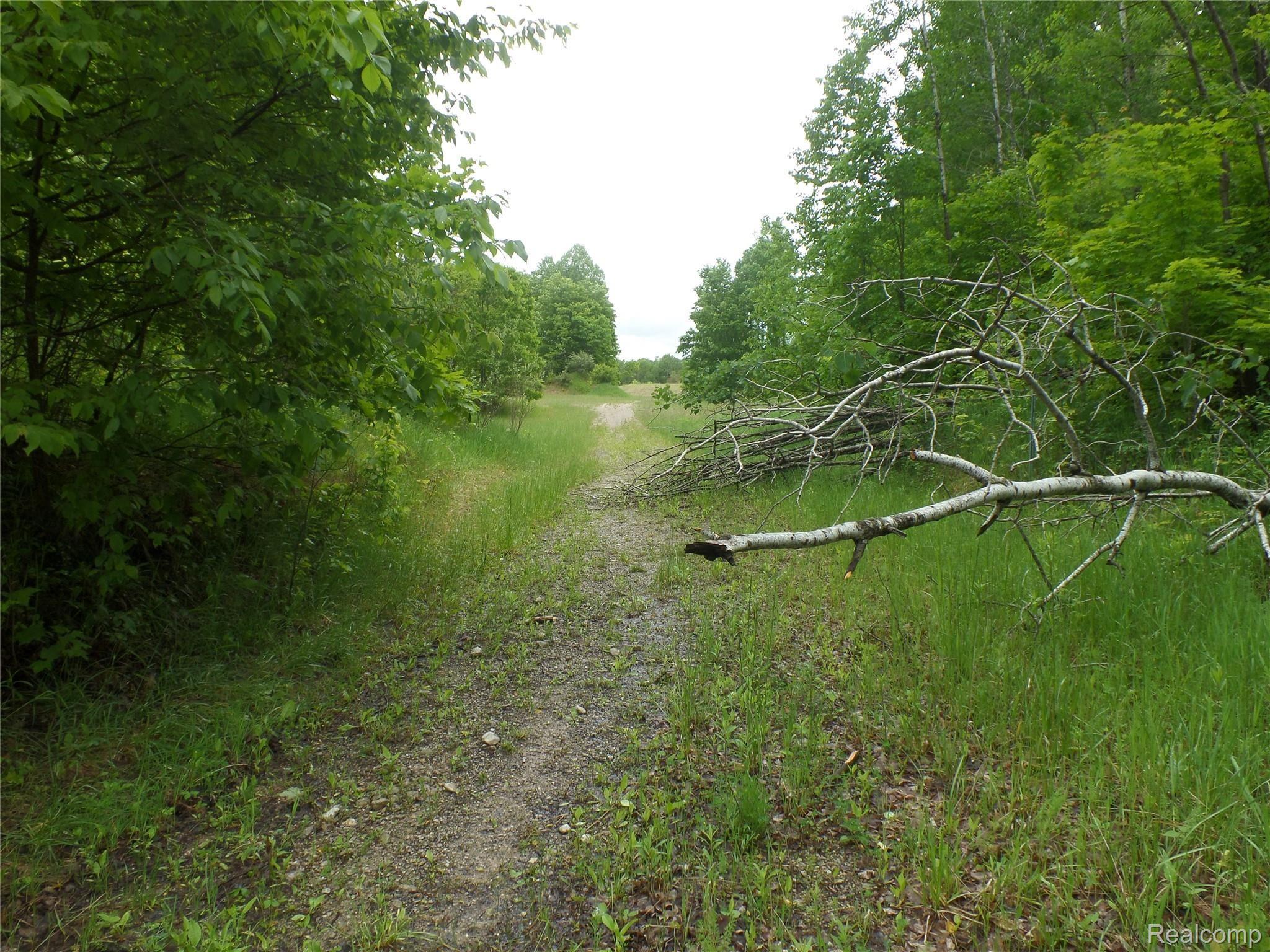 13445 Shippy Road Southwest Fife Lake, MI 49633 - Photo 38 of 80 SAM_9265.JPG