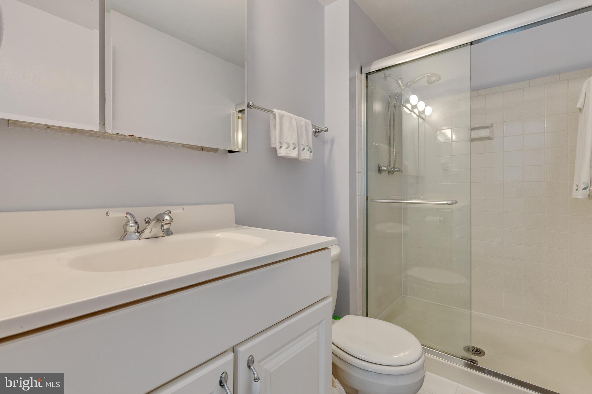 8980 Centerway Road Gaithersburg, MD 20879 - Photo 17 of 32 Owner's Bathroom