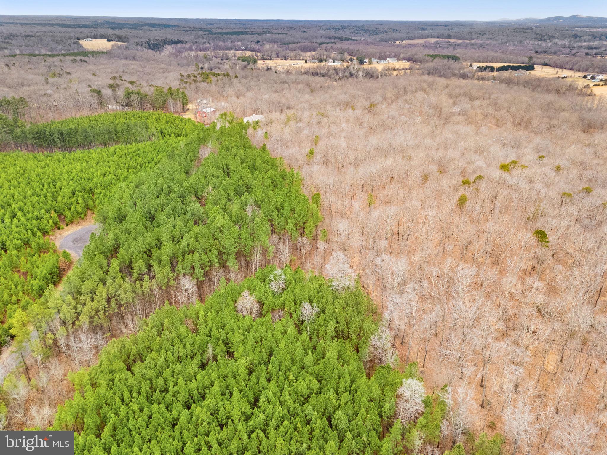 Dragoon Road Lignum, VA 22726 - Photo 17 of 31