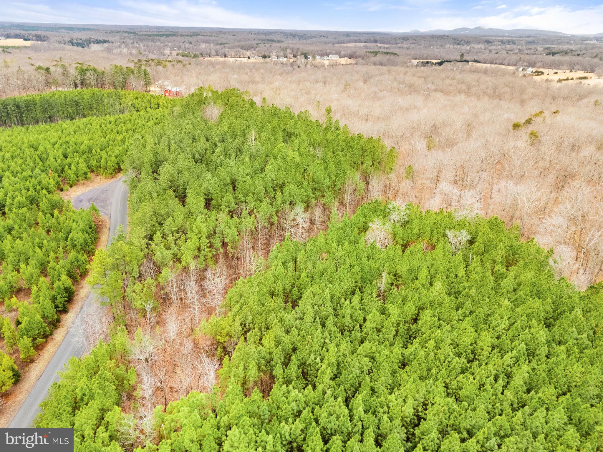 Dragoon Road Lignum, VA 22726 - Photo 26 of 31