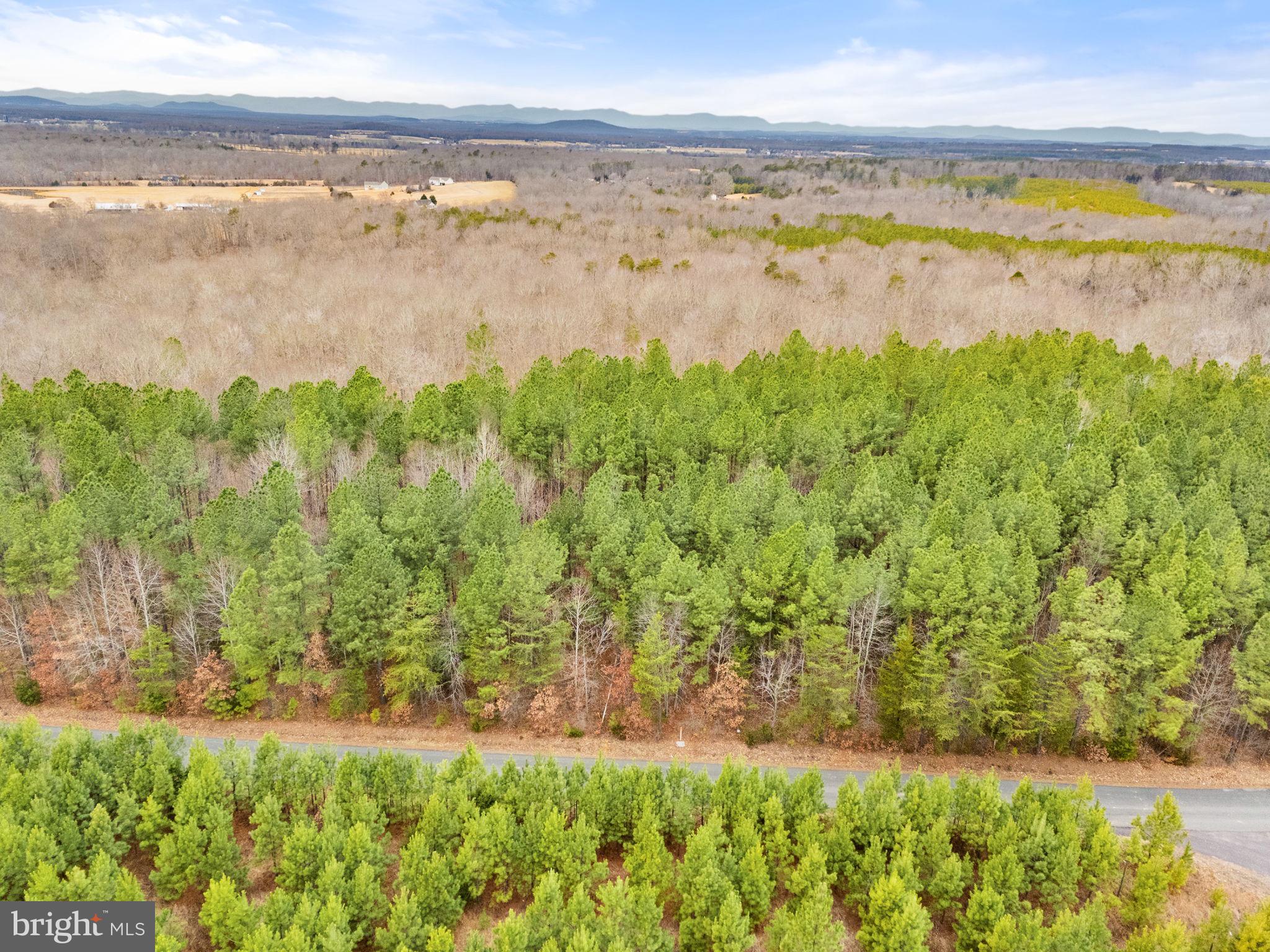 Dragoon Road Lignum, VA 22726 - Photo 29 of 31