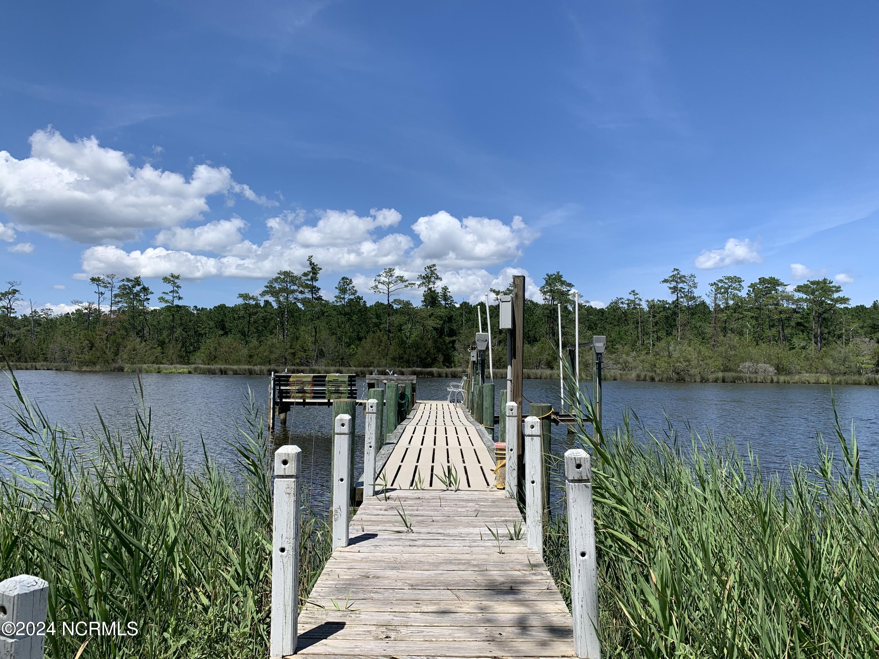2829 Florence Road Merritt, NC 28556 - Photo 4 of 38 Pier on the property