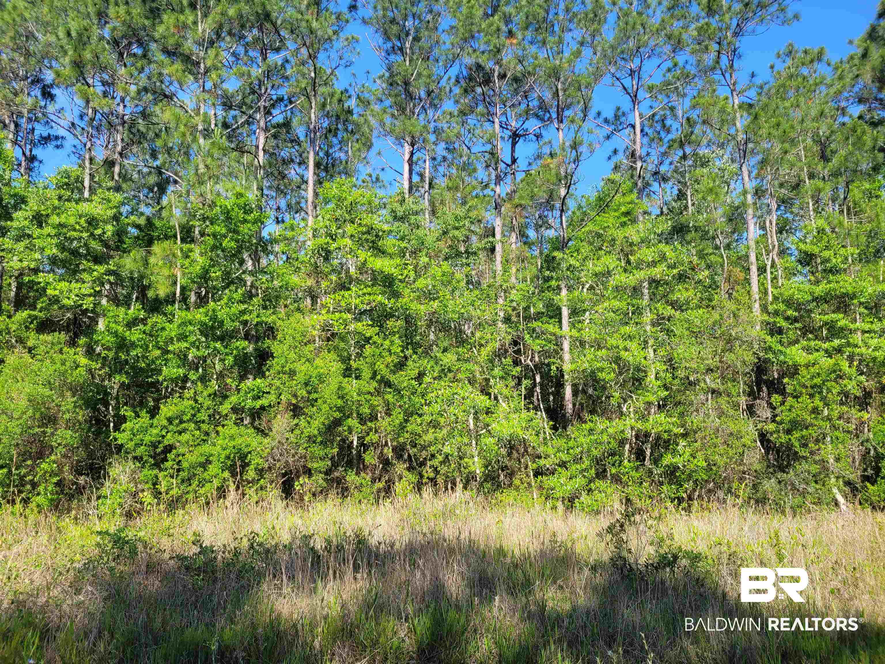 0 Bellingrath Road Theodore, AL 36582 - Photo 5 of 6