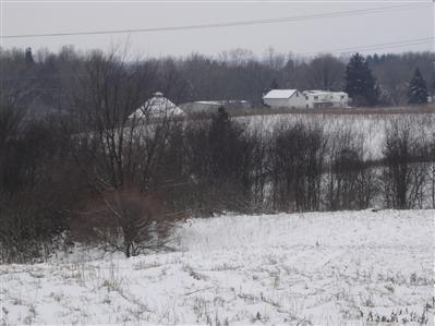 222 East Snow Road Baroda, MI 49101 - Photo 3 of 4 Additional Photo