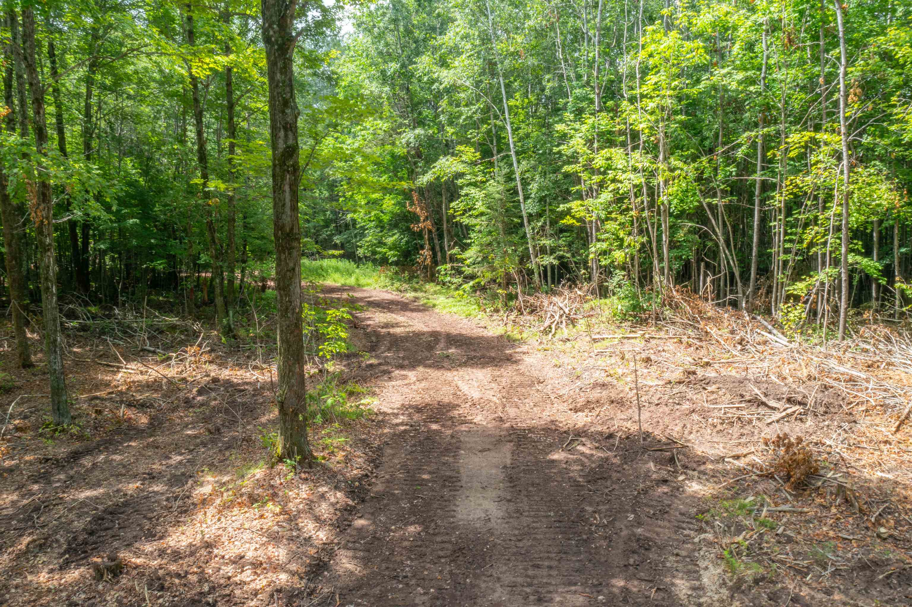 W799 Barker Avenue Merrill, WI 54452 - Photo 52 of 60