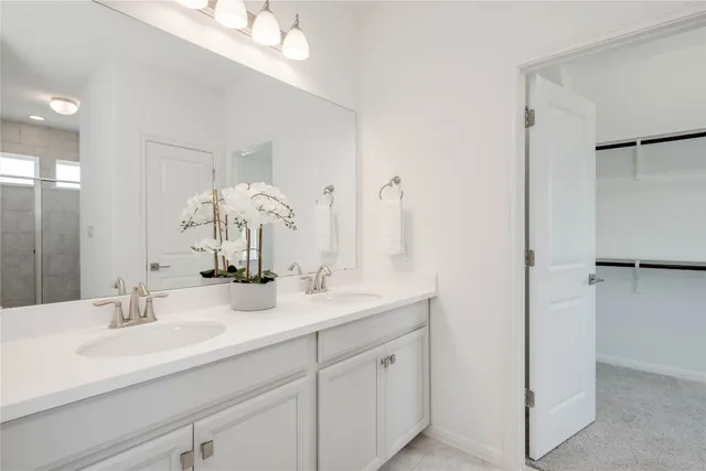 a bathroom with a double vanity sink mirror and shower