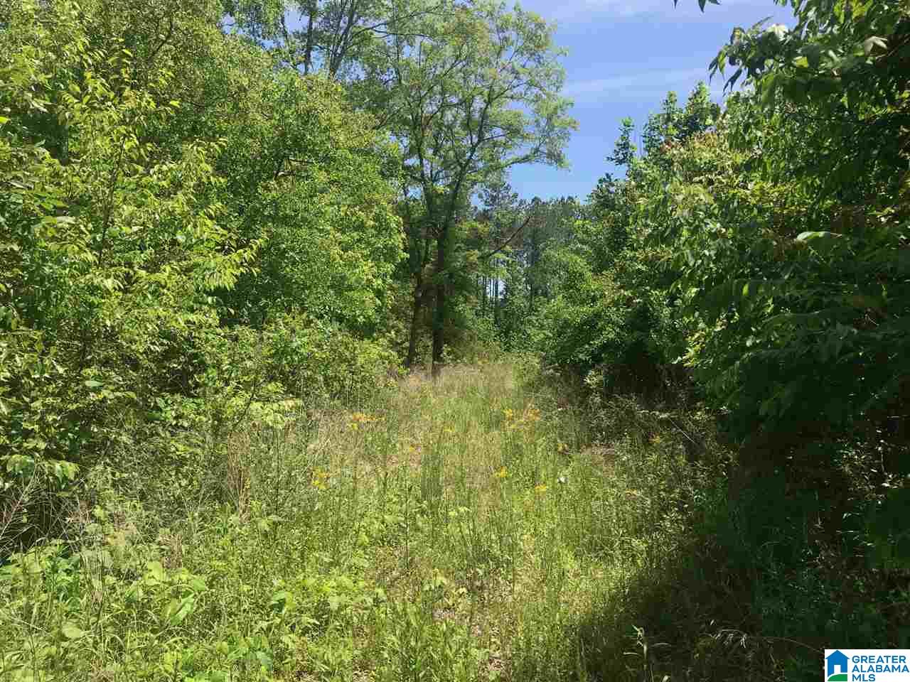 Firehouse Road, Unit 21 Goodwater, AL 35072 - Photo 5 of 21