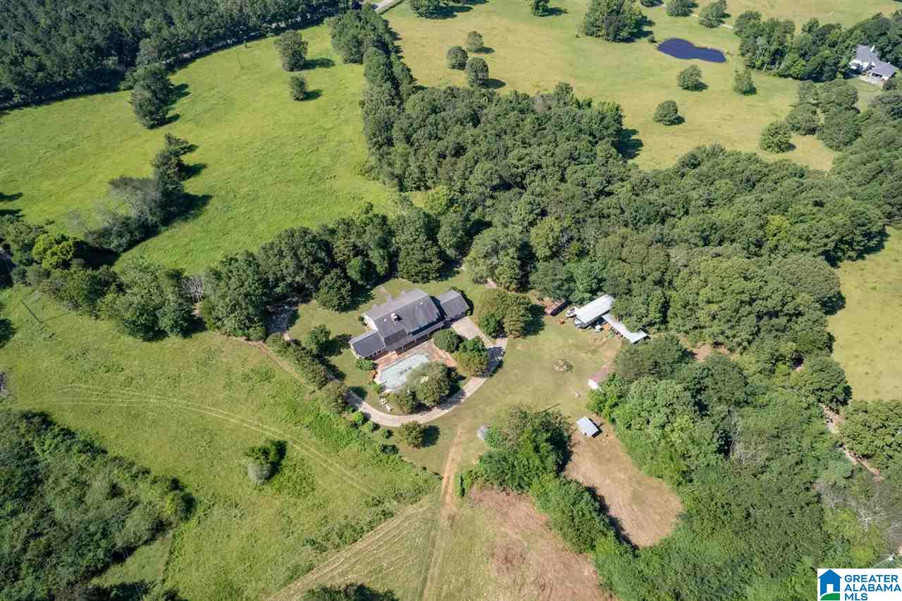 5705 Mays Bend Road Pell City, AL 35128 - Photo 47 of 50