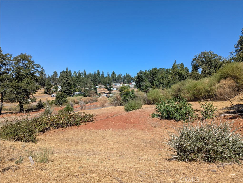 1067 Bille Road Paradise, CA 95969 - Photo 1 of 6 a view of a dry yard with trees in the background