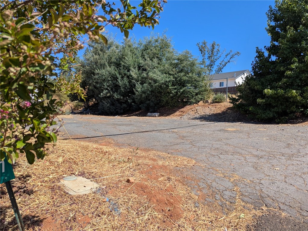 1067 Bille Road Paradise, CA 95969 - Photo 2 of 6 a view of a yard with plants and trees