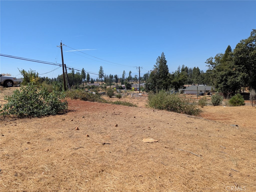 1067 Bille Road Paradise, CA 95969 - Photo 3 of 6 a view of a dry yard with a tree