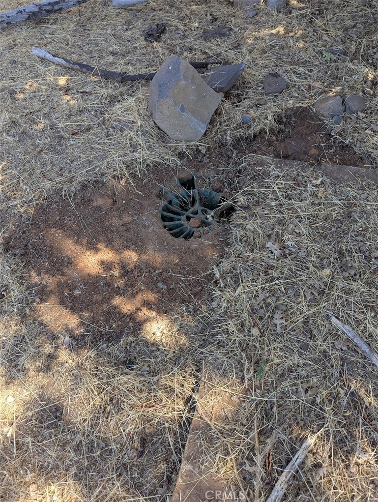 1067 Bille Road Paradise, CA 95969 - Photo 6 of 6